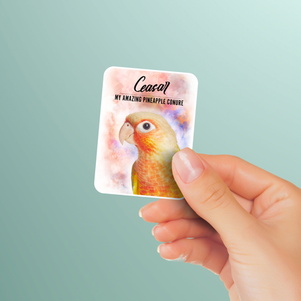 Personalized Pineapple Conure Sticker