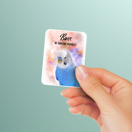 three pack personalized budgie stickers