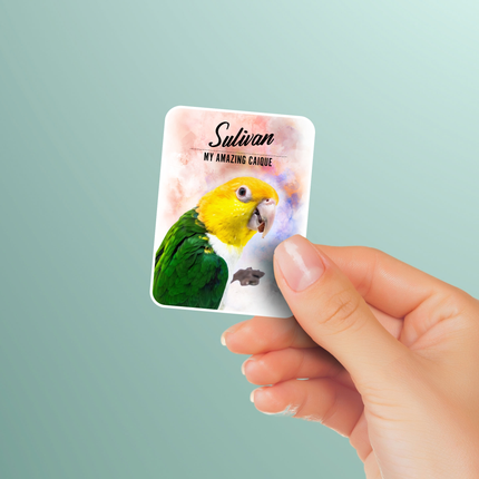 Personalized Caique Sticker Pack