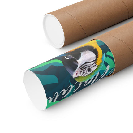 Macaw Matte Poster