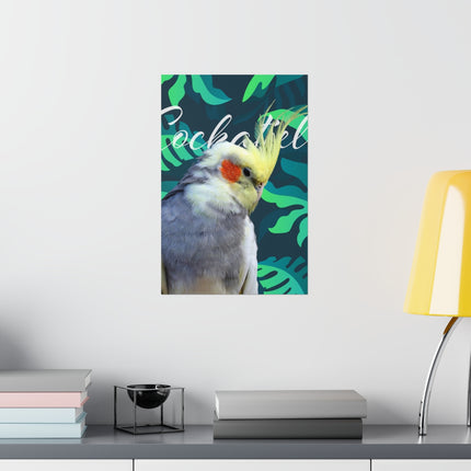 Gray Cockatiel Matte Poster
