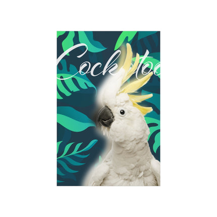 Cockatoo Matte Poster