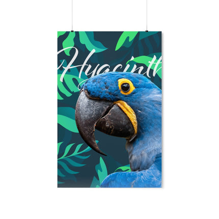 Hyacinth Macaw Matte Poster