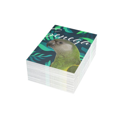Senegal Folded Greeting Cards (1, 10, 30, and 50pcs)