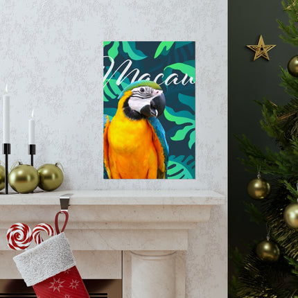 Macaw Matte Poster