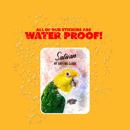 Personalized Yellow Bellied Caique Sticker