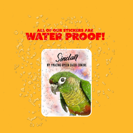 Personalize Green Cheek Conure Sticker Pack