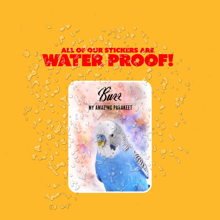 parakeet water bottle stickers
