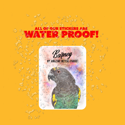 Personalized Meyers Parrot Sticker