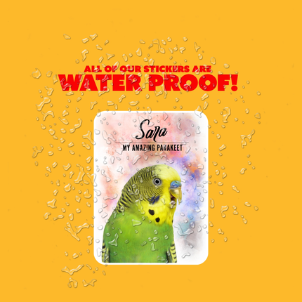 Personalized Green Parakeet Stickers
