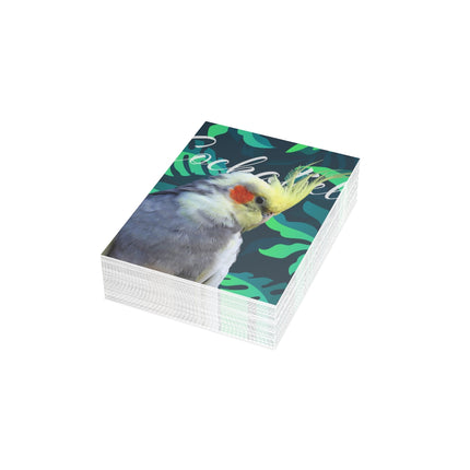 Grey Cockatiel Folded Greeting Cards (1, 10, 30, and 50pcs)