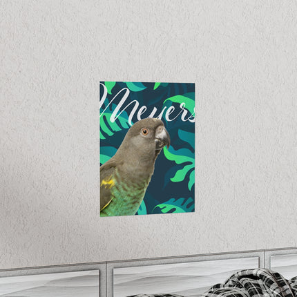 Meyers Parrot Matte Poster