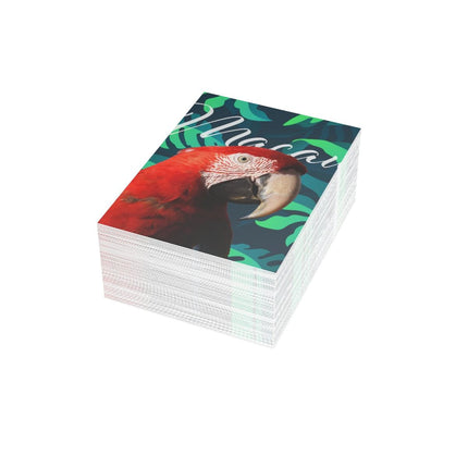 Scarlet Macaw Folded Greeting Cards (1, 10, 30, and 50pcs)