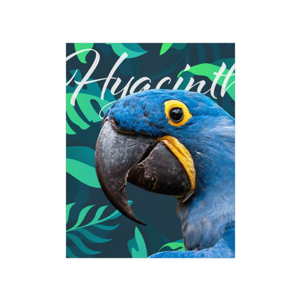 Hyacinth Macaw Matte Poster