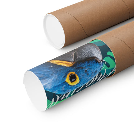 Hyacinth Macaw Matte Poster
