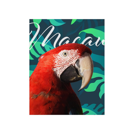 Macaw Matte Poster