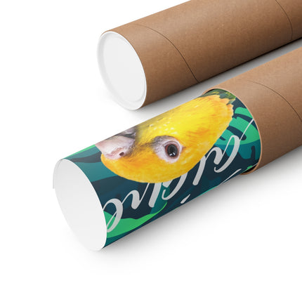 Caique Matte Poster