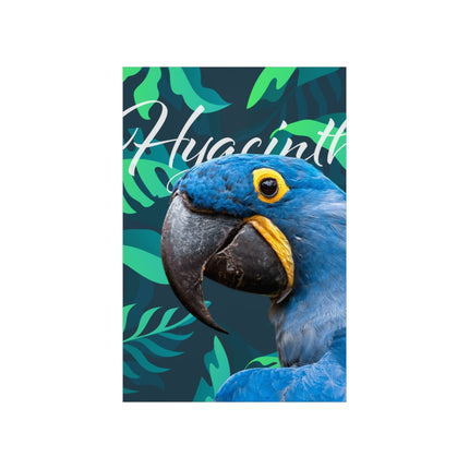 Hyacinth Macaw Matte Poster