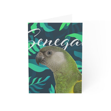 Senegal Folded Greeting Cards (1, 10, 30, and 50pcs)