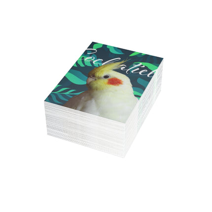 Yellow Cockatiel Folded Greeting Cards (1, 10, 30, and 50pcs)