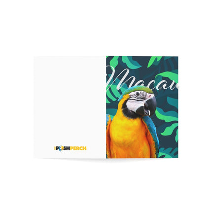 Macaw Folded Greeting Cards (1, 10, 30, and 50pcs)