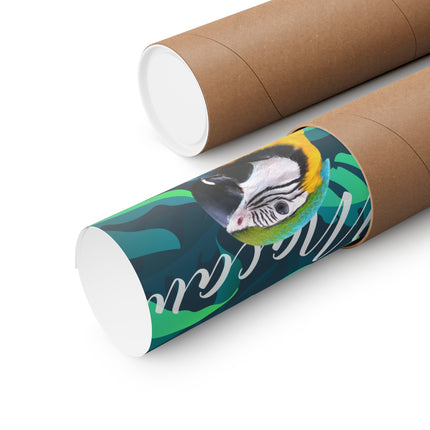 Macaw Matte Poster