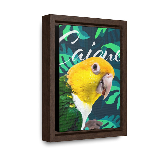 Caique Gallery Canvas