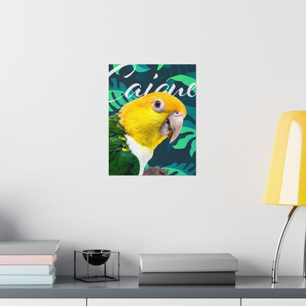 Caique Matte Poster