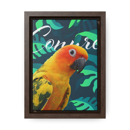 Sun Conure Gallery Canvas