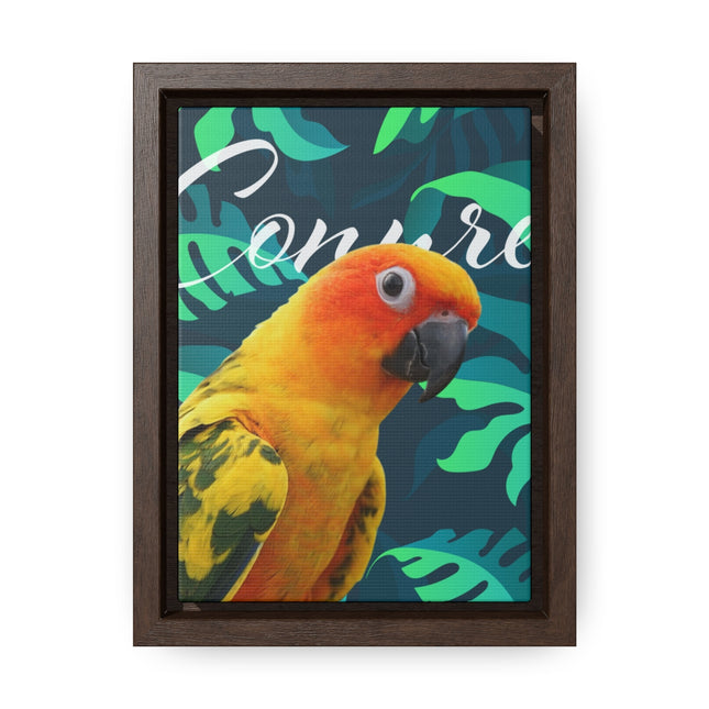 Sun Conure Gallery Canvas