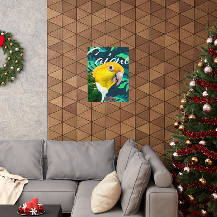 Caique Matte Poster