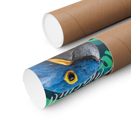 Hyacinth Macaw Matte Poster