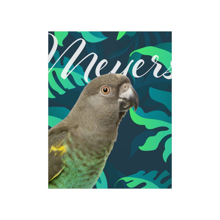 Meyers Parrot Matte Poster