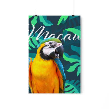 Macaw Matte Poster