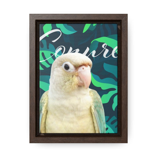 Green Cheek Conure Gallery Canvas