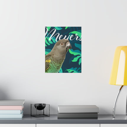 Meyers Parrot Matte Poster