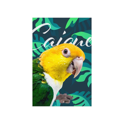 Caique Matte Poster