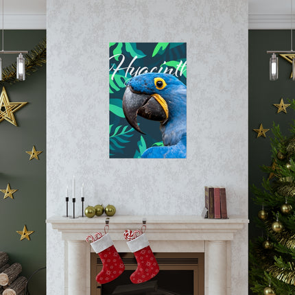 Hyacinth Macaw Matte Poster
