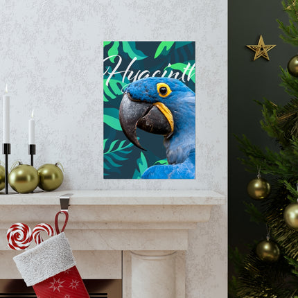 Hyacinth Macaw Matte Poster