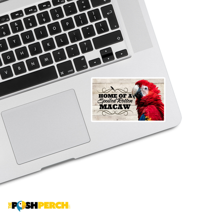 Macaw Parrot Sticker