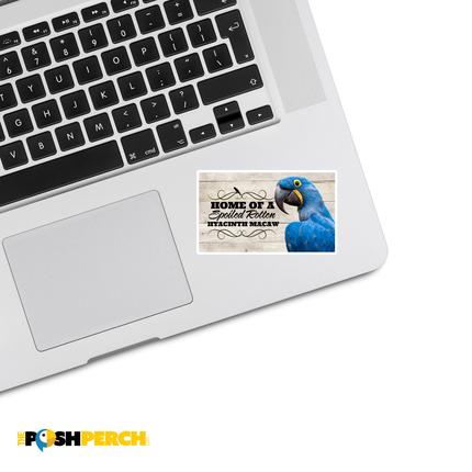 Spoiled Rotten Hyacinth Macaw 3 Piece Sticker Pack
