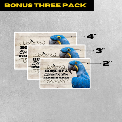 Spoiled Rotten Hyacinth Macaw 3 Piece Sticker Pack
