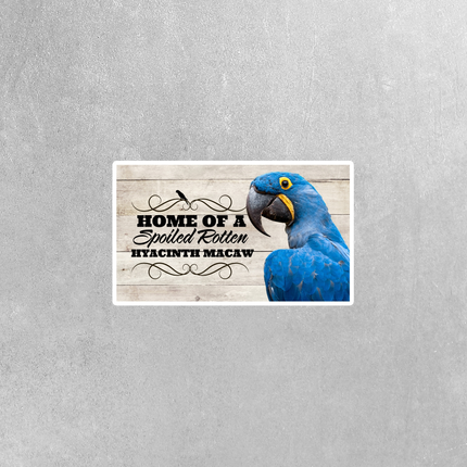 Spoiled Rotten Hyacinth Macaw 3 Piece Sticker Pack