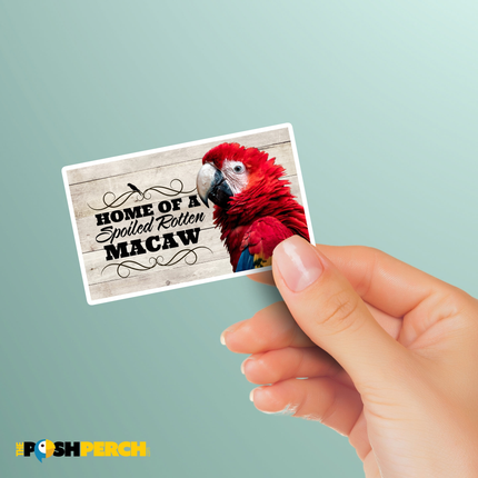 Scarlet Macaw Sticker