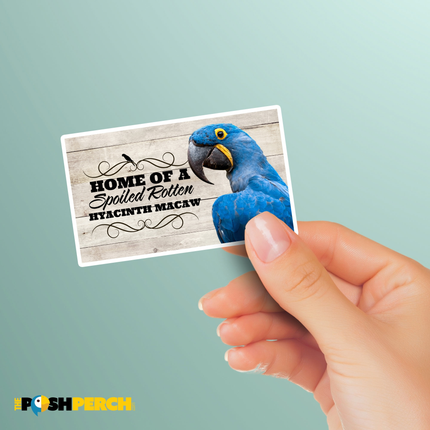 Spoiled Rotten Hyacinth Macaw 3 Piece Sticker Pack