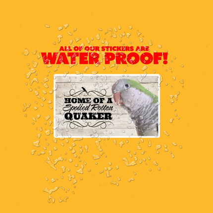 Spoiled Rotten Quaker Parrot 3 Piece Sticker Pack