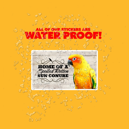 Waterproof Sun Conure Sticker
