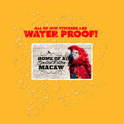 Waterproof Macaw Sticker