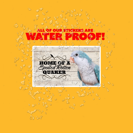 Spoiled Rotten Quaker Parrot 3 Piece Sticker Pack