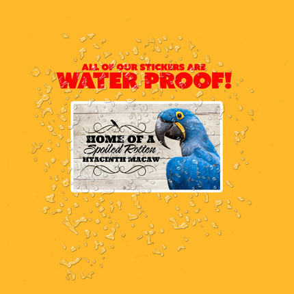 Spoiled Rotten Hyacinth Macaw 3 Piece Sticker Pack